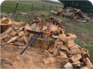 Bunch of Mulch and Firewood with a Chainsaw